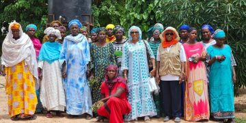 New FAO analysis highlights growing gap in climate finance for agrifood systems