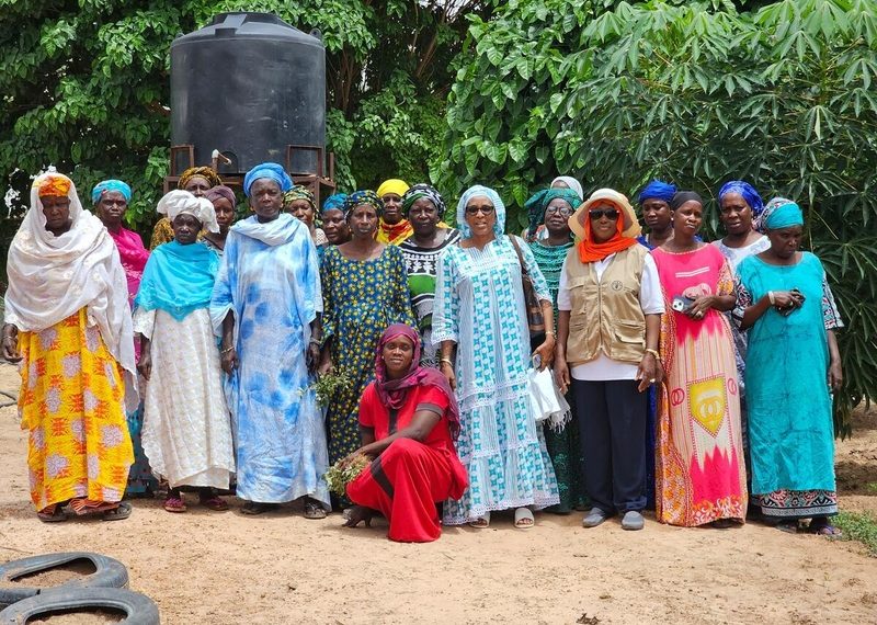 New FAO analysis highlights growing gap in climate finance for agrifood systems