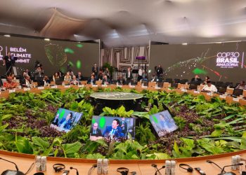COP30: FAO warns climate funding gap threatens agrifood systems transformation