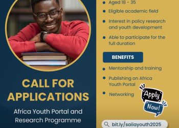 Call for Applications: Africa Youth Portal and Research Programme