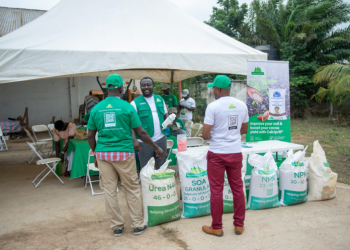 Smarter fertiliser choices could unlock next agricultural breakthrough