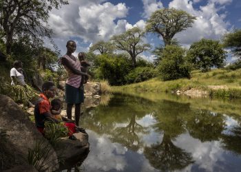 Renewable water availability per person plunges 7 percent in a decade as global scarcity deepens, FAO data shows
