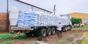 FAO’s new Global Emergency and Resilience Appeal seeks .5 billion to support 100 million people in 54 countries