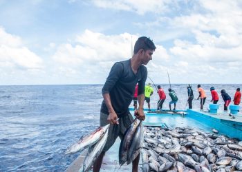 FAO welcomes new treaty on safeguarding marine biological diversity in international waters