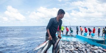 FAO welcomes new treaty on safeguarding marine biological diversity in international waters