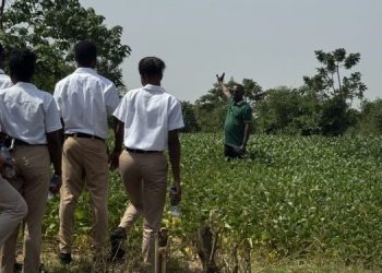 CSIR-CRI champion push for early generation soybean seeds in Ghana
