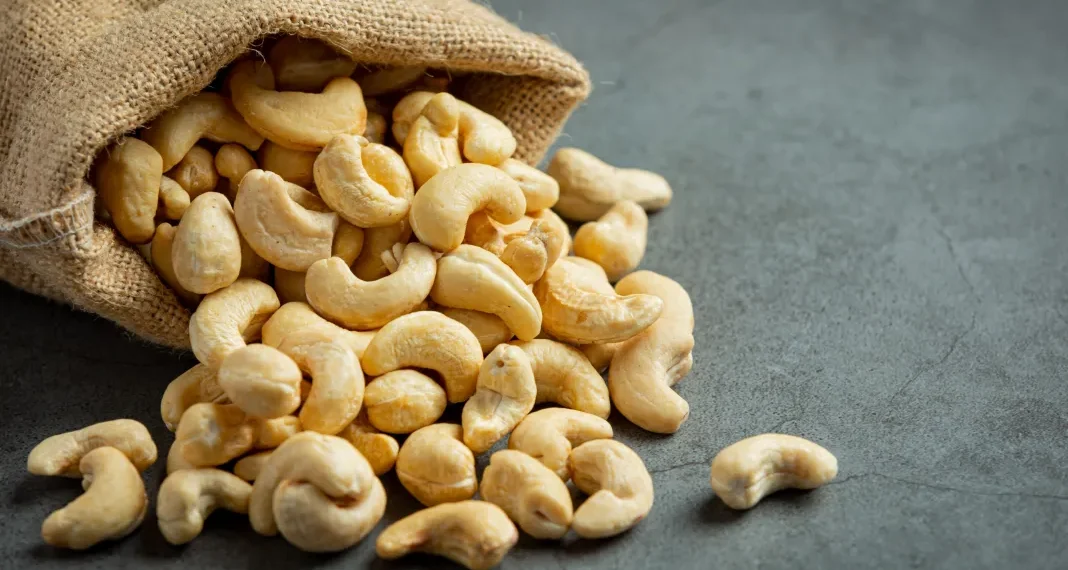 Cashew sector sits on US0m revenue potential Cashew sector sits on US0m revenue potential