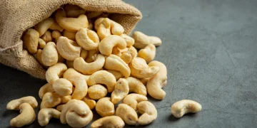 Cashew sector sits on US0m revenue potential Cashew sector sits on US0m revenue potential