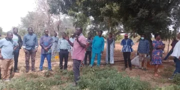 Horticulturists seek gov’t support to tackle root-knot nematode in Upper East