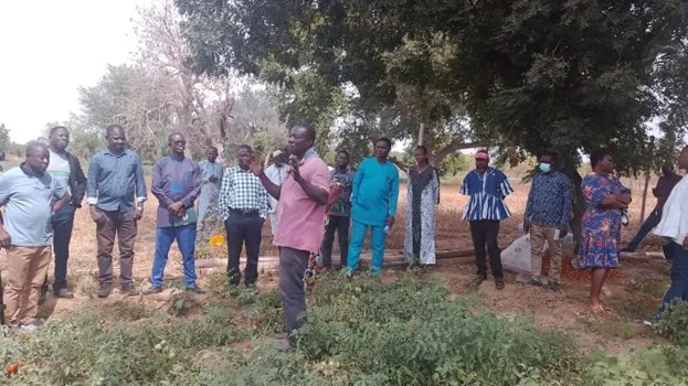 Horticulturists seek gov’t support to tackle root-knot nematode in Upper East Horticulturists seek gov’t support to tackle root-knot nematode in Upper East