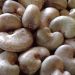 Minimum producer price for raw cashew set at GH¢12 per kilo for the 2025/2026 season