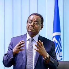 Dr Abebe Haile-Gabriel,FAO Assistant Director-General and Regional Representative for Africa