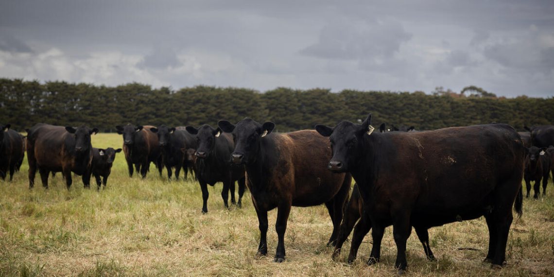 New FAO guidance on assessing food safety risks related to environmental inhibitors