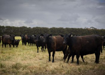 New FAO guidance on assessing food safety risks related to environmental inhibitors