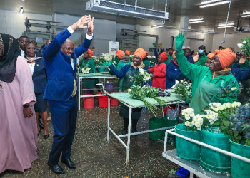 Kenya moves to end VAT refund delays, boost agricultural exports