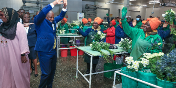 Kenya moves to end VAT refund delays, boost agricultural exports Kenya moves to end VAT refund delays, boost agricultural exports
