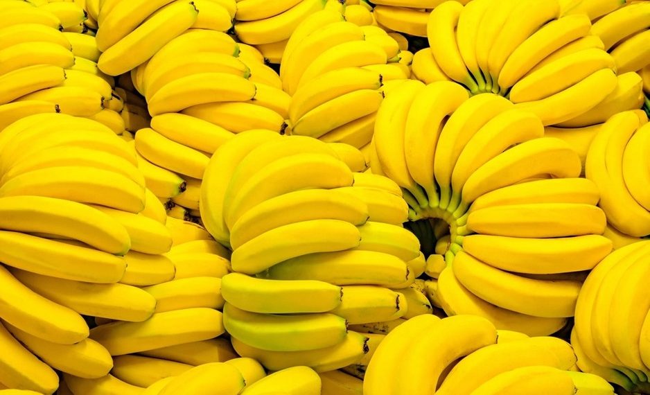 Australia launches research to develop TR4-resistant banana varieties