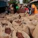 Ivory Coast Cocoa Piles up as Exporters reject Fixed Farmgate Price amid Global Market Slump Ivory Coast Cocoa Piles up as Exporters reject Fixed Farmgate Price amid Global Market Slump