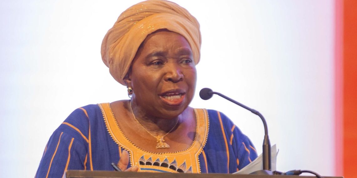 Dr. Zuma Calls on African Leaders to Prioritize Local Food Production Over Imports