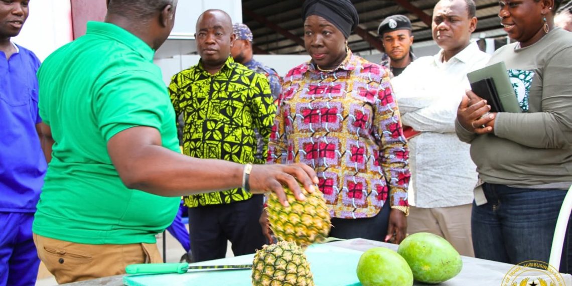 Trade Minister Tours Blue Skies Fruit Juice Company, Reaffirms Gov’t Support for Value Addition