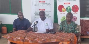 VEPEAG to Boost Local Tomato Production Following Burkina Faso Attack