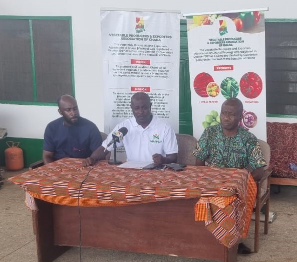 VEPEAG to Boost Local Tomato Production Following Burkina Faso Attack VEPEAG to Boost Local Tomato Production Following Burkina Faso Attack