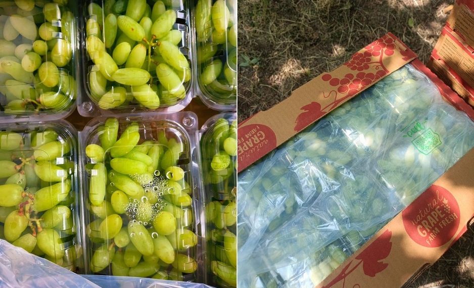 Grape export market is undergoing shift toward more sustainable post-harvest solutions