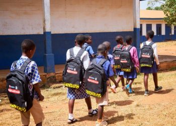 Gov’t urged to tackle child labour in cocoa-growing areas