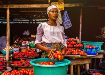 Farmers, traders demand action as tomato costs rise
