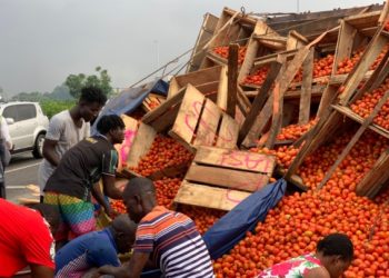 Poor storage, Expensive Seeds driving Ghana’s Tomato Shortages and Glut – PFAG