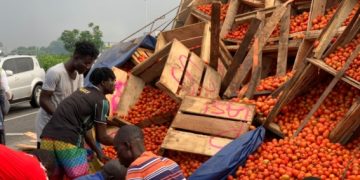 Poor storage, Expensive Seeds driving Ghana’s Tomato Shortages and Glut – PFAG Poor storage, Expensive Seeds driving Ghana’s Tomato Shortages and Glut – PFAG