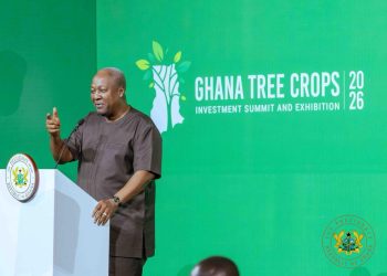 Ghana to stop exporting raw cashew – President Mahama 