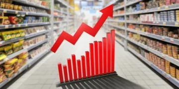 Producer Price Inflation Eases to 1.6% in Jan 2026