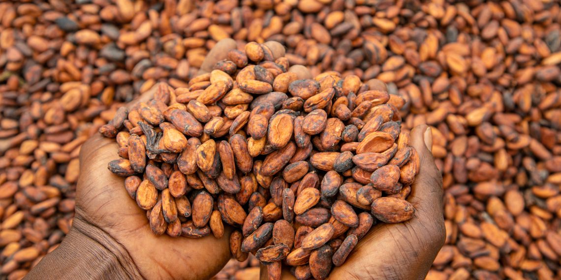 Current Cocoa Industry Crises, a Setback on Ghana’s Macroeconomic Health