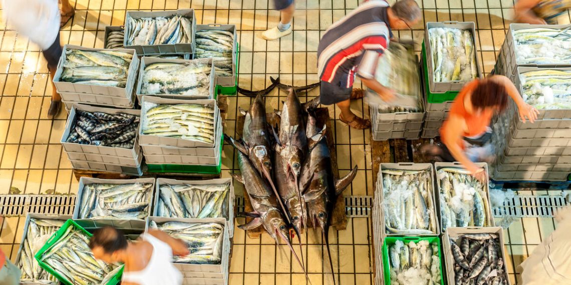 New FAO publication describes global fish fraud and the tools to combat it New FAO publication describes global fish fraud and the tools to combat it