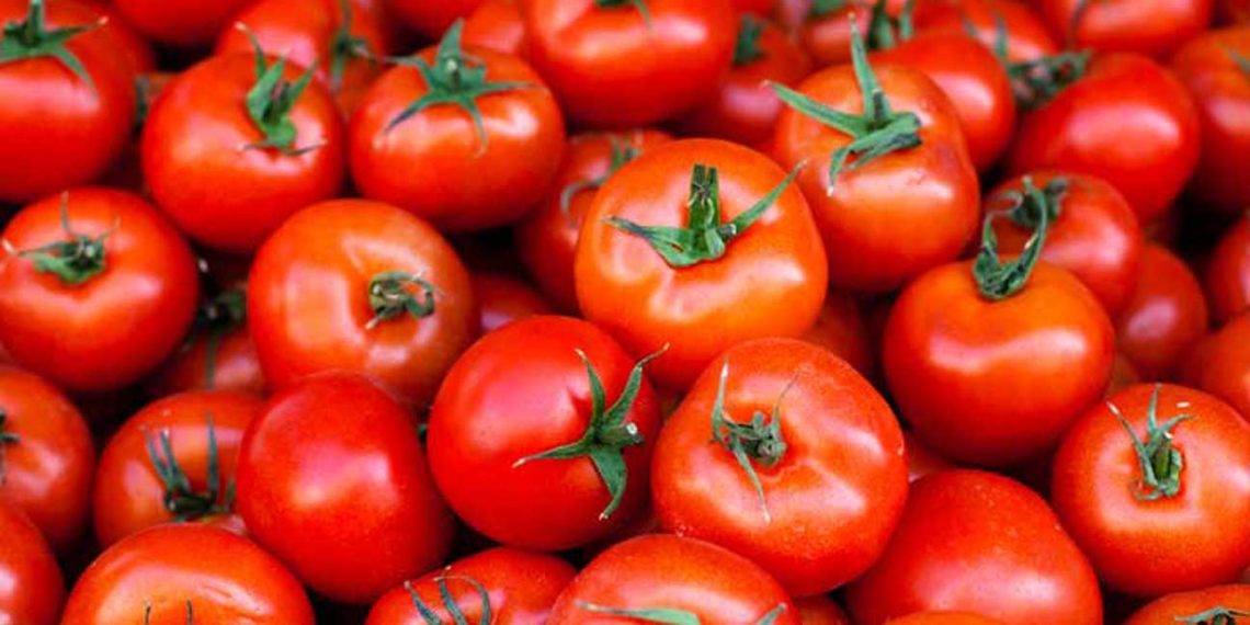 Fixed customs rate of  per tonne offered for Turkmen tomato imports into Russia