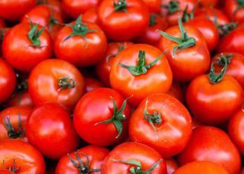 Fixed customs rate of  per tonne offered for Turkmen tomato imports into Russia