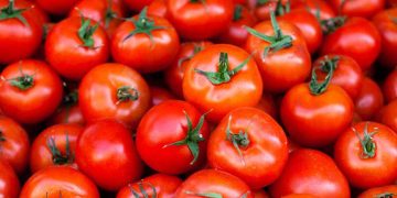 Fixed customs rate of  per tonne offered for Turkmen tomato imports into Russia