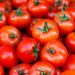 Fixed customs rate of  per tonne offered for Turkmen tomato imports into Russia