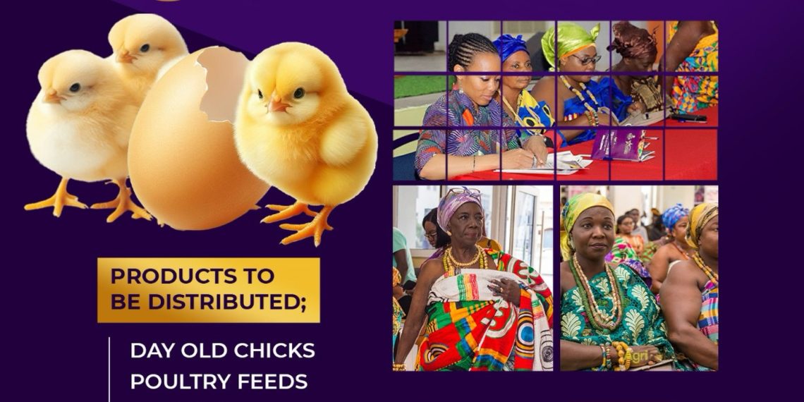 4800 Day-Old Chicks to be Distributed among Queen Mothers at 8th Gathering of the Royals 4800 Day-Old Chicks to be Distributed among Queen Mothers at 8th Gathering of the Royals