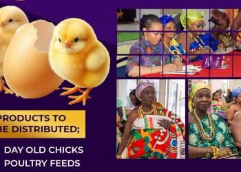 4800 Day-Old Chicks to be Distributed among Queen Mothers at 8th Gathering of the Royals
