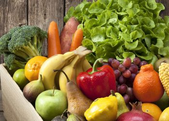 Tanzania to host Hortilogistica Africa conference in 2026