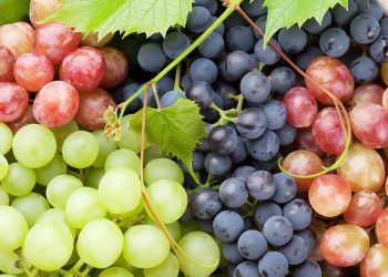 Vietnam imports US0 million in grapes from China in 2025