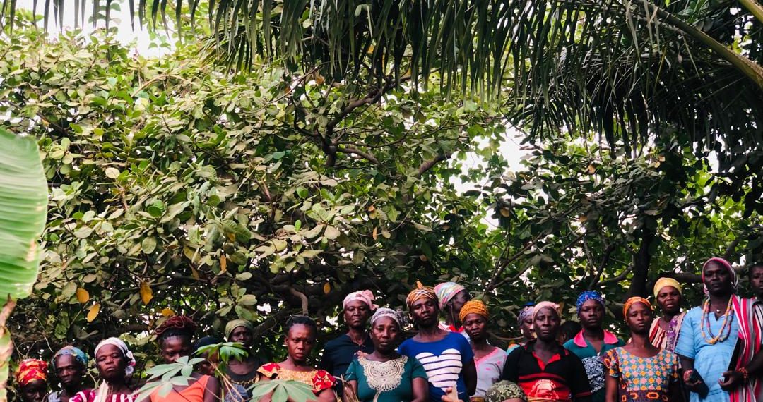 Over 100 farmers in North East Region Embrace High Demand Pepper Production Under the Boost to Bloom Project Over 100 farmers in North East Region Embrace High Demand Pepper Production Under the Boost to Bloom Project