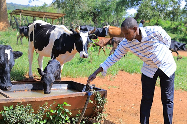 Climate-smart programme to benefit 20,000 dairy farmers Climate-smart programme to benefit 20,000 dairy farmers
