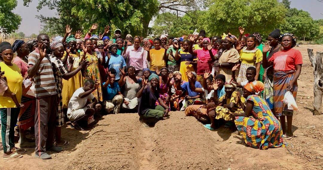 Farmers Receive Practical Training in Seedling Production Under Agrihouse Foundation’s Boost to Bloom Project Farmers Receive Practical Training in Seedling Production Under Agrihouse Foundation’s Boost to Bloom Project