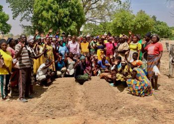 Farmers Receive Practical Training in Seedling Production Under Agrihouse Foundation’s Boost to Bloom Project