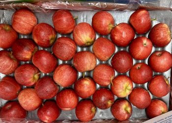 “South Africa loaded 4x apple volumes to India in 2026”