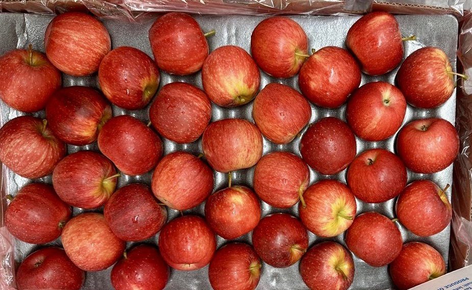 “South Africa loaded 4x apple volumes to India in 2026”