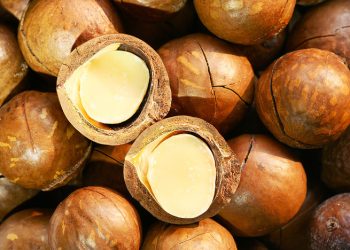 Kenyan macadamia growers seek lift on raw export ban